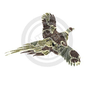 Camuflaje de la vieja escuela png, faisán png, caza de aves png, digital, sublimación, DTF, DTG