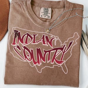 American  Native Cultural Pride Tee, Native Unisex Shirt, Western Native America  Shirt, Comfort Colors Indigenous Native Shirt