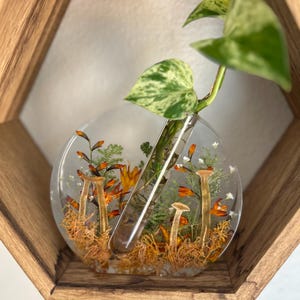 Mushroom Propagation Station | Decorative Vase