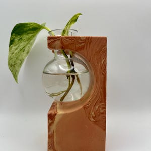 May include: A decorative propagation station featuring a clear glass orb and a terracotta-colored, marbled-effect frame. The frame holds the orb and a small plant with green and yellow leaves. The design is modern and minimalist.