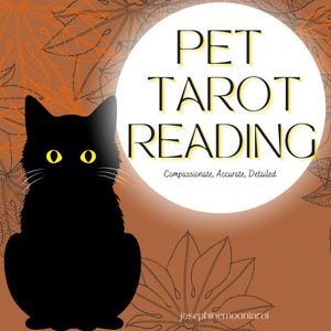 Haustier-Tarot-Lesung | Verstehen Sie die Bedürfnisse Ihres Haustieres | Kommuniziere auf Seelenebene | Lebend, Verstorben oder Streunend