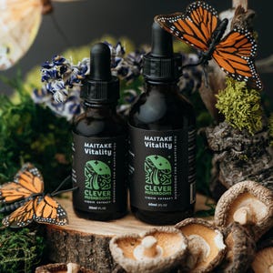 Maitake Mushroom Tincture | Liquid Extract | Dual Extraction