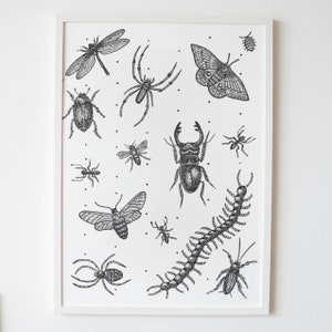 May include: Black and white illustration of various insects and bugs, including a spider, a beetle, a moth, a centipede, a stag beetle, and a few flies. The illustration is on a white background.