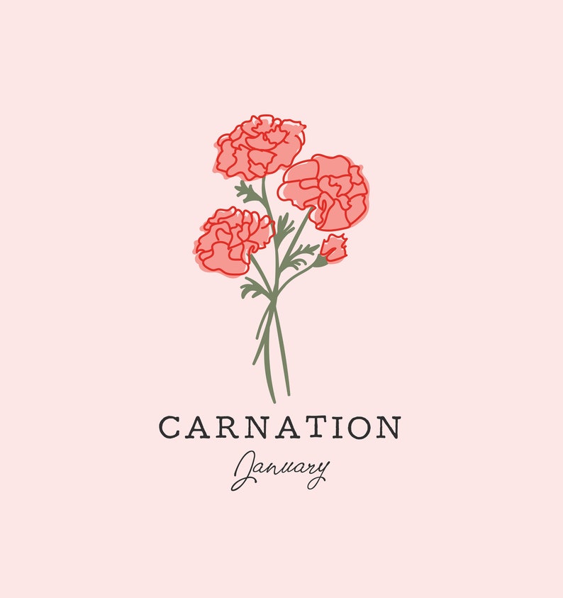 Carnation January Birth Flower Art Print Etsy