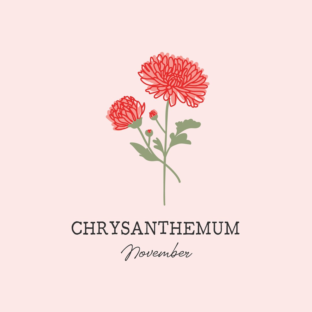 Chrysanthemum November Birth Flower Art Print Etsy