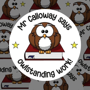 Personalised Owl Stickers | School Reward Stickers | Reading Stickers | Librarian Stickers | Teacher Stationery | NQT Stickers