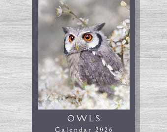 Eulen 2026 Kalender