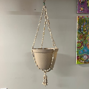 1970s Hanging Seashell Plant Holder - Vintage Seashell Plant holder - Made in the Philippines