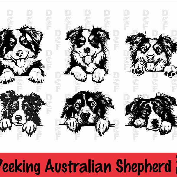 Paquete SVG y PNG de pastor australiano asomando, patas asomando, raza de perro, K-9, mascota animal, logotipo de pedigrí canino de cachorro, descarga digital