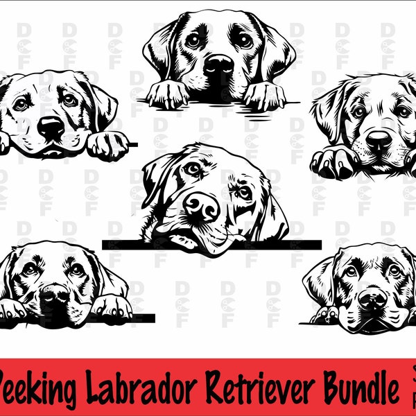 Peeking Labrador Retriever SVG and PNG Bundle, Peeking Paws, Dog Breed, K-9, Animal Pet, Puppy Canine Pedigree Logo, Digital Download