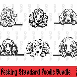 Peeking Standard Poodle SVG and PNG Bundle, Peeking Paws, Dog Breed, K-9, Animal Pet, Puppy Canine Pedigree Logo, Digital Download