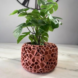 May include: A terracotta-colored planter with a geometric pattern, featuring a green leafy plant inside.