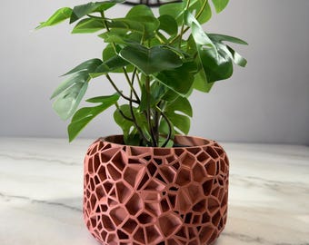 May include: A terracotta-colored planter with a geometric pattern, featuring a green leafy plant inside.