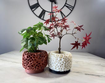 May include: Two potted plants with unique textured pots. The plant on the left has green leaves and is in a terracotta-colored pot. The plant on the right has red leaves and is in a white pot.