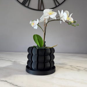 May include: A white orchid plant in a black, textured, modern planter with a round base. The plant is in a white pot with a black base.