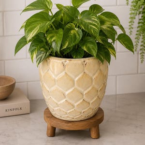 May include: A vibrant green pothos plant with variegated heart-shaped leaves sits in a cream-colored ceramic planter with a textured, scalloped honeycomb pattern. The planter rests on a small, round, natural wood stand with three short legs.