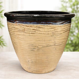 May include: A large, beige ceramic planter with a textured, wood-like appearance. The rim is dark brown with a blue and brown accent. The planter has a wide opening and a slightly tapered shape, suitable for outdoor or indoor use.