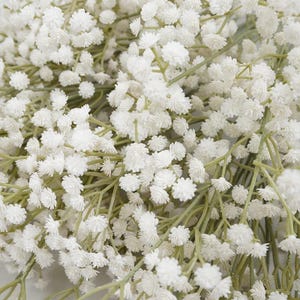 K&ouml;nnte beinhalten: Nahaufnahme von wei&szlig;en Schleierkrautbl&uuml;ten mit kleinen, geclusterten Bl&uuml;ten. Die zarten Bl&uuml;ten heben sich vor einem Hintergrund aus d&uuml;nnen, gr&uuml;nen Stielen ab und erzeugen ein weiches, strukturiertes Aussehen. Dieses Blumenarrangement ist ideal f&uuml;r Hochzeiten und andere besondere Anl&auml;sse.