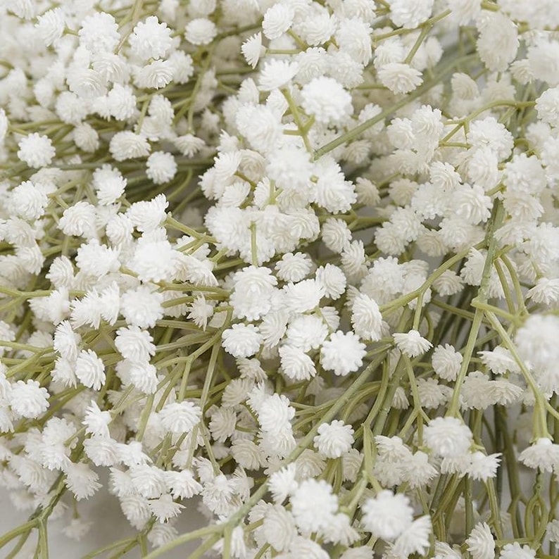 K&ouml;nnte beinhalten: Nahaufnahme von wei&szlig;en Schleierkrautbl&uuml;ten mit kleinen, geclusterten Bl&uuml;ten. Die zarten Bl&uuml;ten heben sich vor einem Hintergrund aus d&uuml;nnen, gr&uuml;nen Stielen ab und erzeugen ein weiches, strukturiertes Aussehen. Dieses Blumenarrangement ist ideal f&uuml;r Hochzeiten und andere besondere Anl&auml;sse.