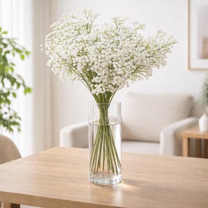 K&ouml;nnte beinhalten: Eine klare Glasvase mit Wasser, die einen gro&szlig;en Strau&szlig; wei&szlig;er Schleierkrautbl&uuml;ten enth&auml;lt. Die Vase steht auf einem hellen Holztisch. Im Hintergrund sind ein Stuhl und ein gerahmtes Bild zu sehen.