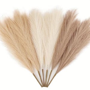 Pode incluir: Uma coleção de hastes de capim-dos-pampas artificiais em tons de bege, creme e castanho. As plumas plumosas se abrem em leque a partir de um feixe de hastes castanhas, criando uma aparência macia e texturizada. Estas hastes decorativas são ideais para adicionar um toque de elegância natural à decoração da casa.