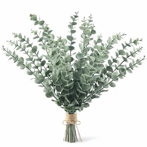 Könnte beinhalten: Ein Bund künstlicher Eukalyptusstiele mit abgerundeten, grünen Blättern. Die Stiele sind mit Bindfaden gebunden, was einen natürlichen, rustikalen Look ergibt. Ideal für Heimdekoration oder Bastelprojekte.