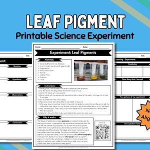 Può includere: Una scheda stampabile per un esperimento scientifico intitolata Leaf Pigment. Il documento include sezioni per i passaggi dell'esperimento, i materiali e le osservazioni, con una piccola fotografia di tre bicchieri trasparenti con liquido colorato e un codice QR.