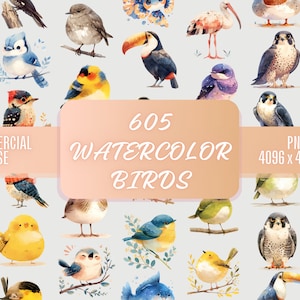 605 niedliches Aquarell Vögel Arten Clipart Bundle PNG Kommerzielle Nutzung | Vögel auf Zweig Clipart Sublimation transparentes Bild