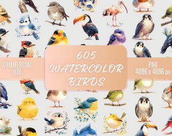 Watercolor Birds Clipart Bundle: 605 PNG Images (Commercial Use)