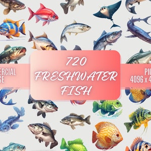 720 Süßwasserfischarten Clipart Bundle PNG Kommerzielle Nutzung | Fische Clip Art Sublimation Transparent Bild
