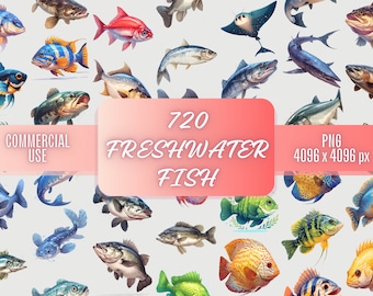 Freshwater Fish Clipart Bundle: 720 PNG Images, Commercial Use (Digital Download)