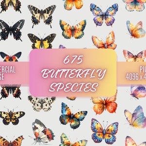 675 Schmetterling Bundle Species Clipart PNG Kommerzielle Nutzung | Aquarell Schmetterling und Illustrationsarten Sublimation Transparente Bilddatei
