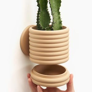 Könnte beinhalten: Ein beiger Keramiktopf mit geripptem Design. Der Topf ist in zwei Teile geteilt, wobei der obere Teil abgehoben wird, um die Pflanze im Inneren zu zeigen. Die Pflanze ist ein grüner Kaktus mit scharfen Stacheln.