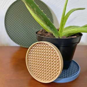 May include: A close-up shot of a potted aloe vera plant with several decorative plant saucers. The saucers are in various colors, including beige, blue, and green. The saucers have a lattice design. The plant is in a black pot.