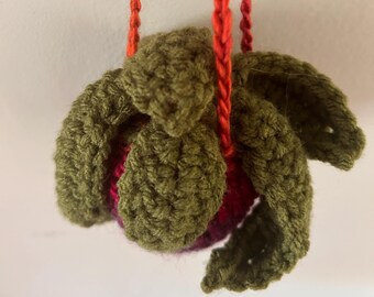 Crochet Hanging Aloe