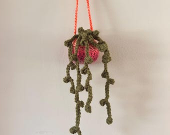 Crochet Plant- String of Pearls