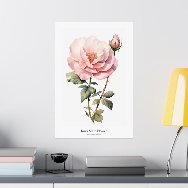 IOWA State Flower, Wild Prairie Rose Wall Art Poster, Matte Vertical ...