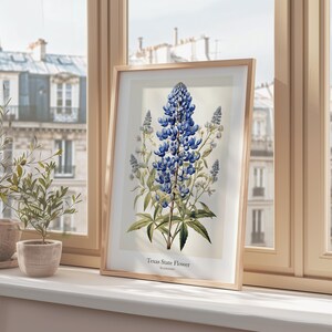 May include: A framed print of the Texas State Flower, a bluebonnet, displayed on a windowsill. The botanical illustration features a detailed depiction of the flower with green leaves and stems. The print is in a light wood frame.