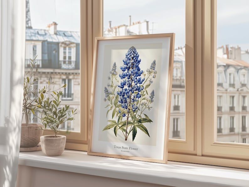 May include: A framed print of the Texas State Flower, a bluebonnet, displayed on a windowsill. The botanical illustration features a detailed depiction of the flower with green leaves and stems. The print is in a light wood frame.