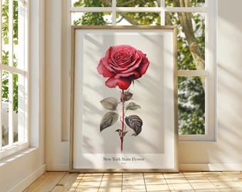 New York State Flower Rose Art Print: Museum Grade Matte Poster