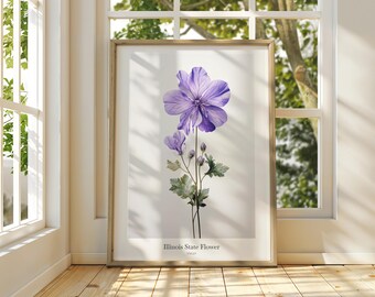 Violet Flower Art Print: Illinois State Flower, Museum Grade Paper