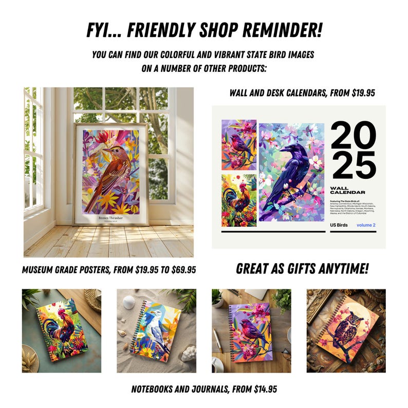 May include: A collection of colorful wall calendars, posters, and notebooks featuring vibrant state bird illustrations. The calendars feature the text "2025 Wall Calendar" and "US Birds Volume 2".