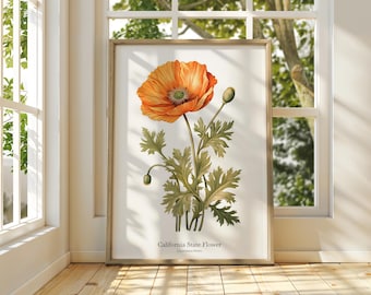 California Poppy Art Print: Botanical Wall Decor, Museum Grade Paper