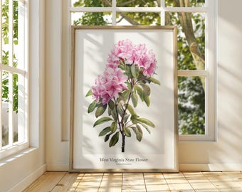 Könnte beinhalten: Ein gerahmter Druck der Staatsblume von West Virginia, einer rosa Rhododendron, wird in Innenräumen ausgestellt. Die botanische Illustration zeigt detaillierte rosa Blüten, grüne Blätter und den Text "West Virginia State Flower".