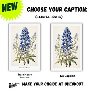 TEXAS State Flower, Bluebonnet Wall Art Poster, Matte Vertical Posters, Nature Flower Print, Museum Grade Paper, Beautiful Art Decor, Gift image 11