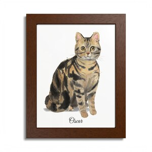Framed American Shorthair Portrait, Hand Painted Watercolor, Your Pet's name, Wooden Frame in 2 sizes 3 colors, Plexiglass + Hanging kit