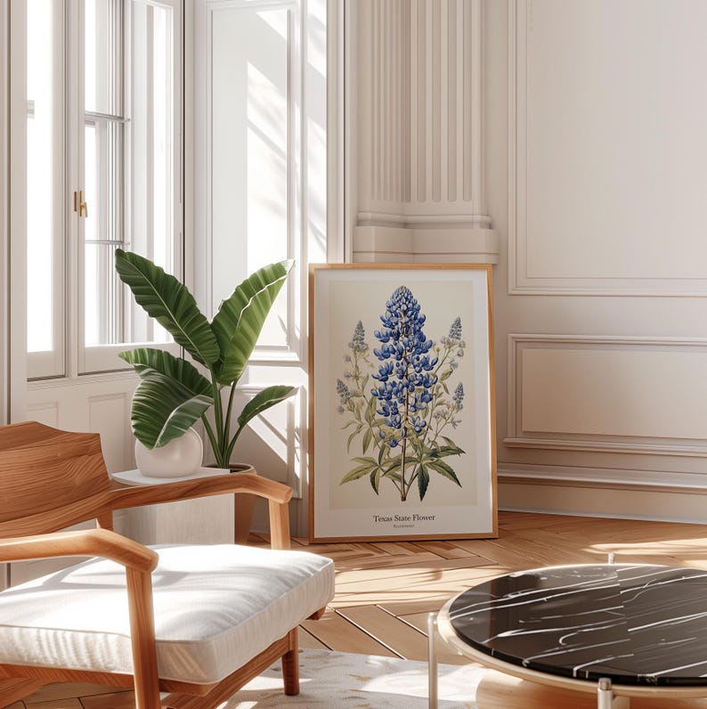 May include: A framed botanical print depicting a bluebonnet, the Texas state flower. The print is set in a room with a wooden chair, a potted plant, and natural light. The print has a light-colored background and is displayed in a room with natural light.