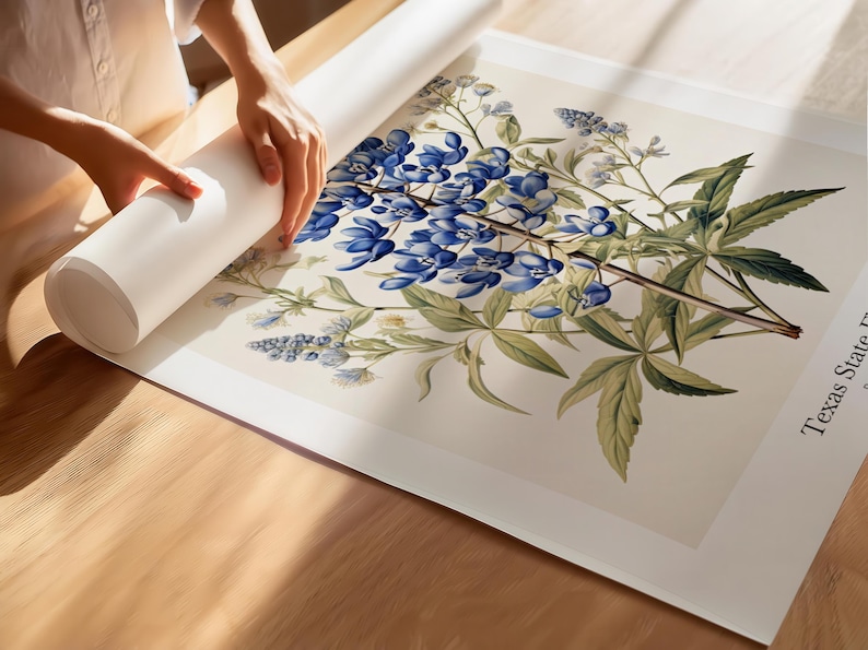 May include: A botanical print featuring bluebonnets, the Texas state flower, with green leaves and delicate blue flowers. The print is on a cream-coloured background and is being unrolled on a wooden surface.