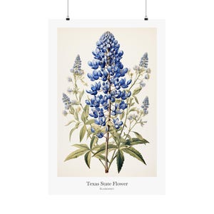 TEXAS State Flower, Bluebonnet Wall Art Poster, Matte Vertical Posters, Nature Flower Print, Museum Grade Paper, Beautiful Art Decor, Gift image 3