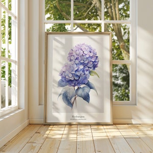 May include: A framed botanical illustration of a hydrangea flower with blue and purple petals. The text "Hydrangea" and "HYDRANGEA ARBORESCENS" is printed below the flower.